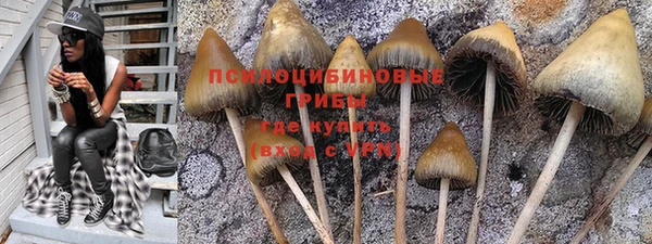 индика Абинск