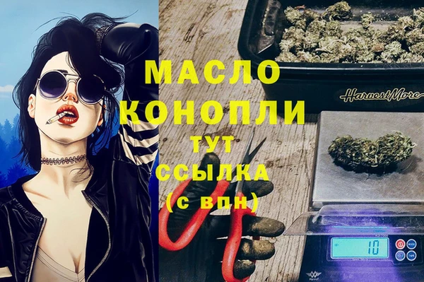 индика Абинск