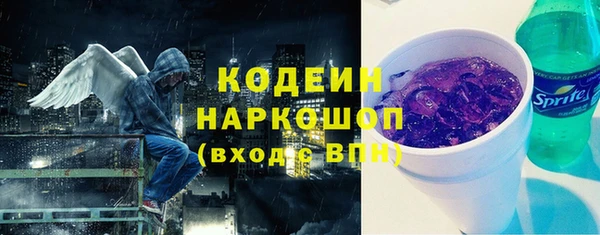 индика Абинск