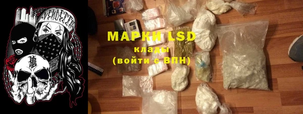 индика Абинск