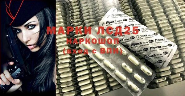 индика Абинск