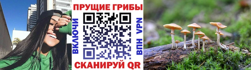 наркота  Тюмень  Псилоцибиновые грибы мухоморы 